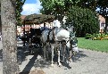 Colmar